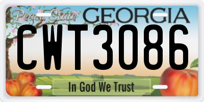 GA license plate CWT3086