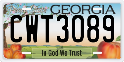 GA license plate CWT3089
