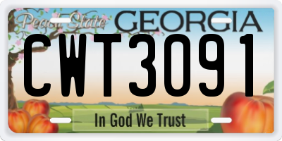 GA license plate CWT3091