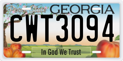 GA license plate CWT3094
