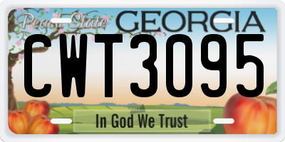 GA license plate CWT3095