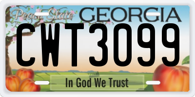 GA license plate CWT3099