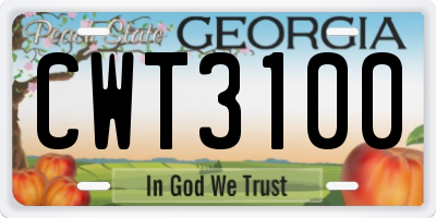 GA license plate CWT3100