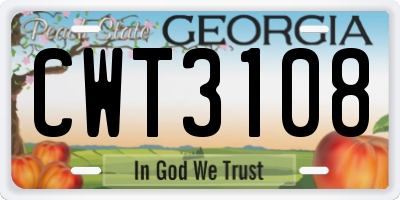 GA license plate CWT3108