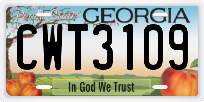 GA license plate CWT3109