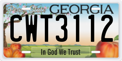 GA license plate CWT3112