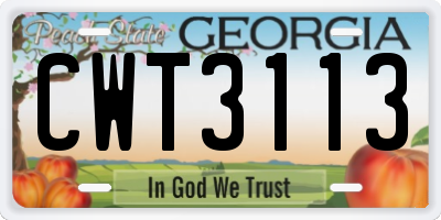GA license plate CWT3113