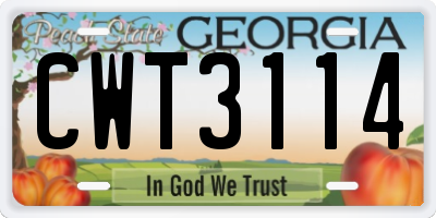 GA license plate CWT3114