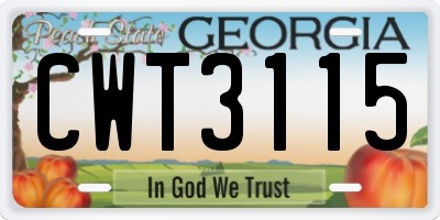 GA license plate CWT3115
