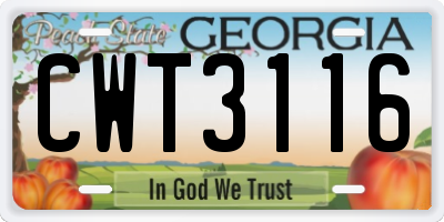 GA license plate CWT3116