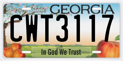 GA license plate CWT3117