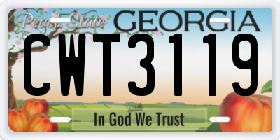 GA license plate CWT3119