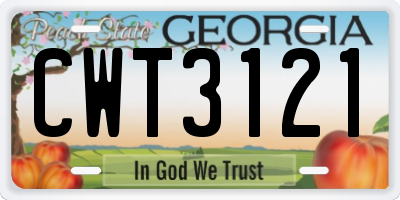 GA license plate CWT3121