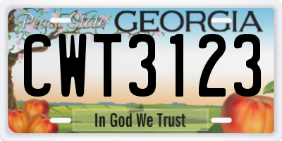 GA license plate CWT3123