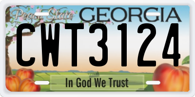 GA license plate CWT3124