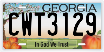 GA license plate CWT3129