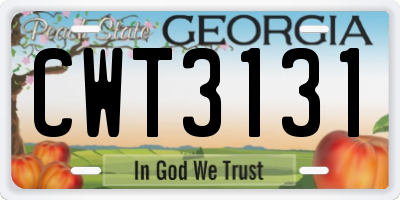 GA license plate CWT3131