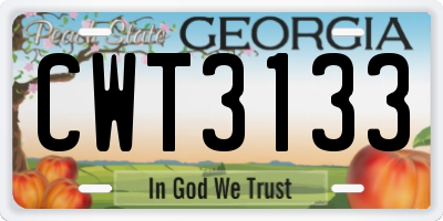 GA license plate CWT3133