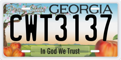 GA license plate CWT3137