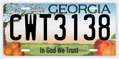 GA license plate CWT3138
