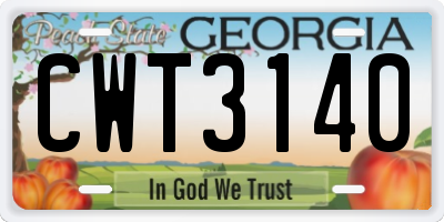GA license plate CWT3140