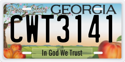 GA license plate CWT3141