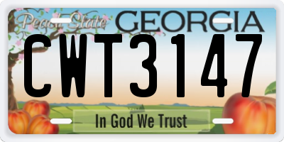 GA license plate CWT3147