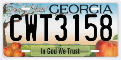 GA license plate CWT3158