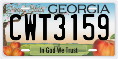 GA license plate CWT3159
