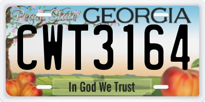 GA license plate CWT3164