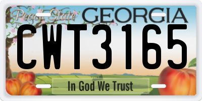 GA license plate CWT3165