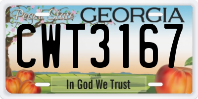 GA license plate CWT3167
