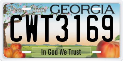 GA license plate CWT3169