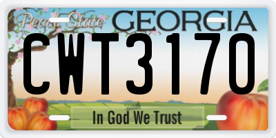 GA license plate CWT3170