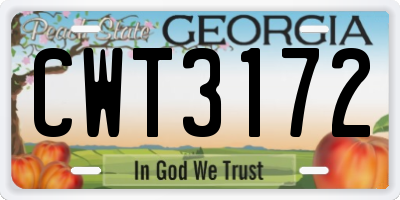 GA license plate CWT3172