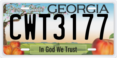 GA license plate CWT3177