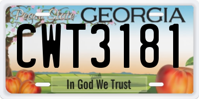 GA license plate CWT3181
