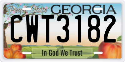 GA license plate CWT3182