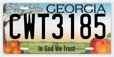 GA license plate CWT3185