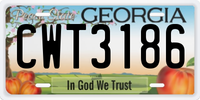 GA license plate CWT3186