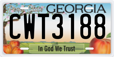 GA license plate CWT3188