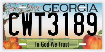 GA license plate CWT3189