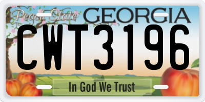 GA license plate CWT3196