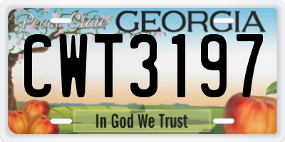 GA license plate CWT3197