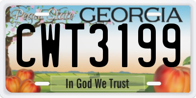 GA license plate CWT3199