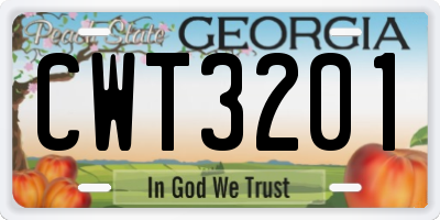 GA license plate CWT3201