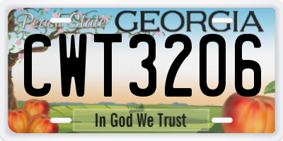GA license plate CWT3206