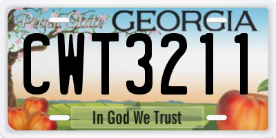 GA license plate CWT3211