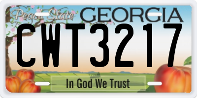 GA license plate CWT3217