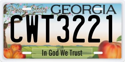 GA license plate CWT3221